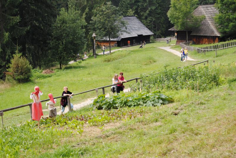 pepajs.cz